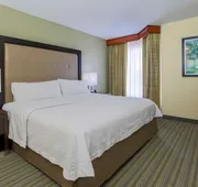 Homewood Suites by Hilton St. Petersburg Clearwater hotel detail image 4