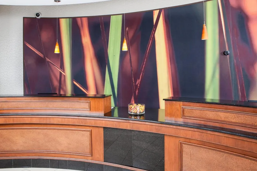 SpringHill Suites by Marriott Norfolk Virginia Beach hotel detail image 6