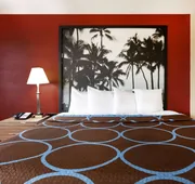 Super 8 by Wyndham Chester/Richmond Area hotel detail image 4