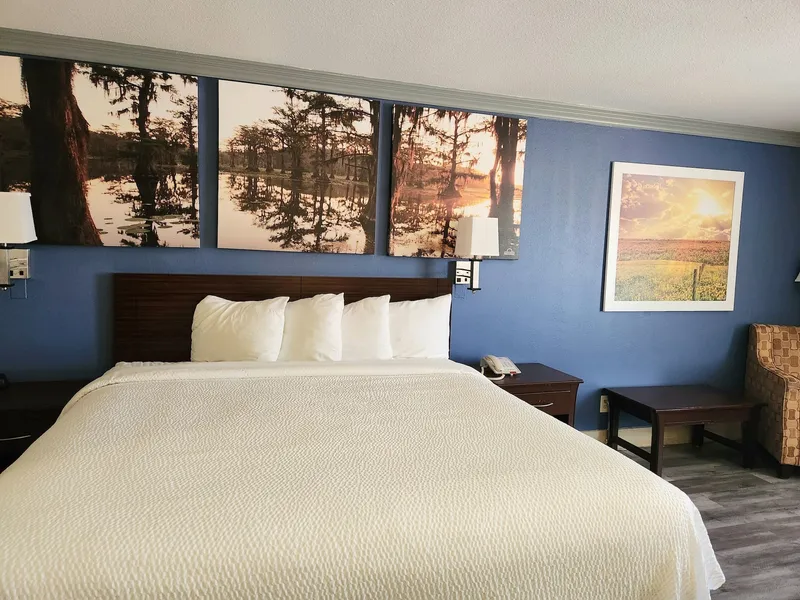 Days Inn by Wyndham Rosenberg hotel detail image 6