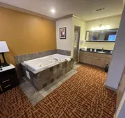 Best Western Aspen Hotel hotel detail image 7