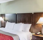 Quality Inn Raleigh Downtown hotel detail image 3