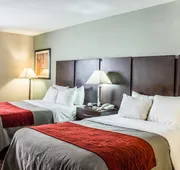 Quality Inn Raleigh Downtown hotel detail image 5