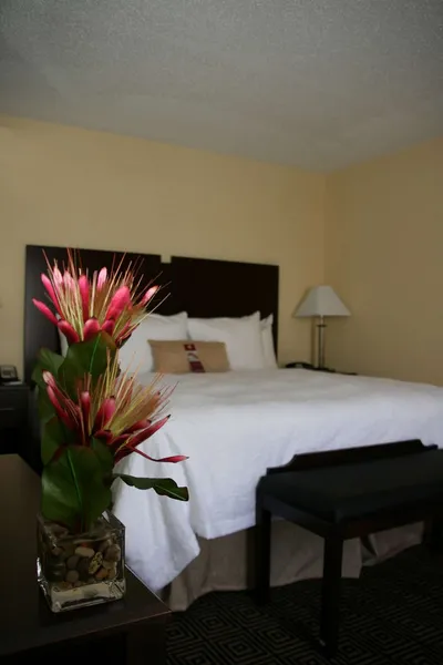 Hampton Inn & Suites Orlando-John Young Pkwy/S. Park hotel detail image 6