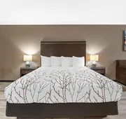 Best Western Redondo Beach Galleria Hotel - Beach City LA hotel detail image 7
