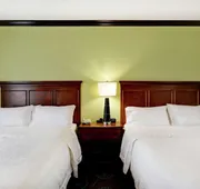 Hampton Inn & Suites San Antonio/Northeast I-35 hotel detail image 7