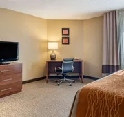 Comfort Inn & Suites Suwanee - Sugarloaf hotel detail image 3