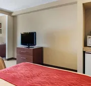 Comfort Inn & Suites Suwanee - Sugarloaf hotel detail image 5