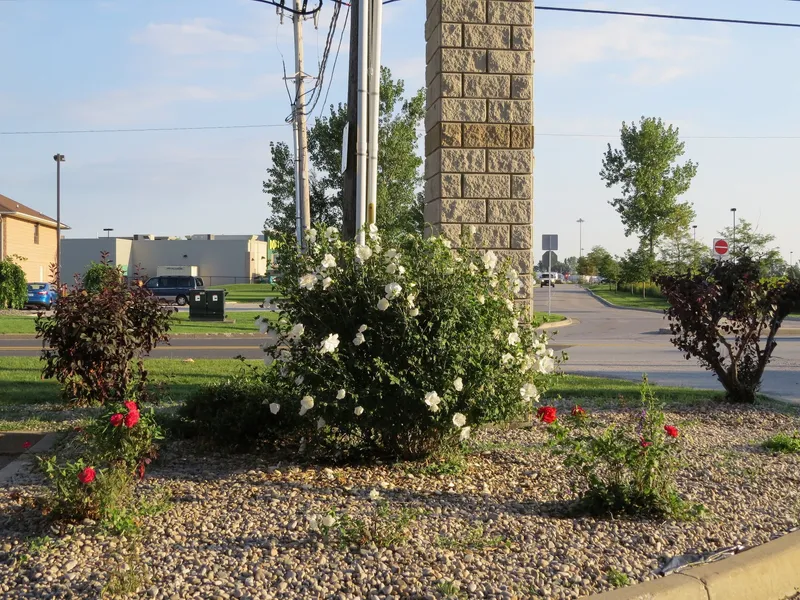Lexington Inn & Suites Windsor hotel detail image 2