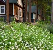 Johnston Canyon Lodge and Bungalows hotel detail image 4