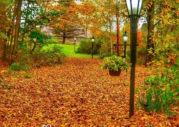 Mountain Treasure B&B hotel thumbnail 7