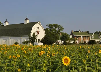 Inn at Huntingfield Creek hotel thumbnail 7