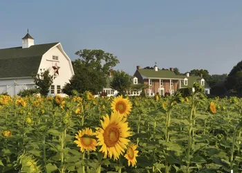 Inn at Huntingfield Creek hotel thumbnail 8