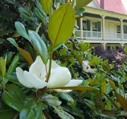 Hummingbird Inn hotel detail image 7