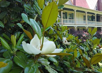 Hummingbird Inn hotel thumbnail 7