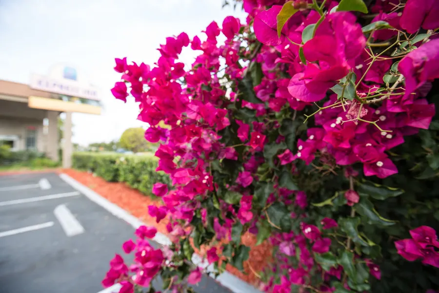 Queens Inn Anaheim hotel detail image 6