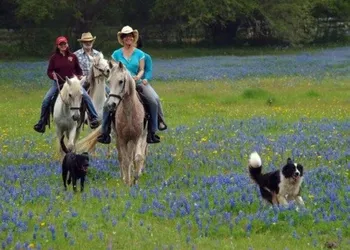 BlissWood B&B Ranch hotel thumbnail 4