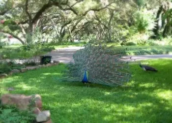 BlissWood B&B Ranch hotel thumbnail 6