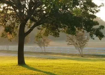 BlissWood B&B Ranch hotel thumbnail 7