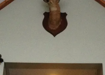 Chaffee Lodge hotel thumbnail 8