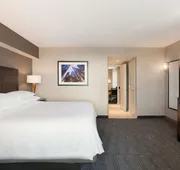 Embassy Suites by Hilton Chicago Lombard Oak Brook hotel detail image 7