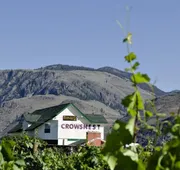 Crowsnest Vineyards Guesthouse hotel detail image 4