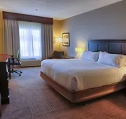 Holiday Inn Express Hotel & Suites Pell City by IHG hotel detail image 7