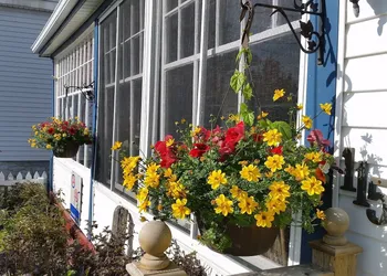 Bayside Inn hotel thumbnail 6