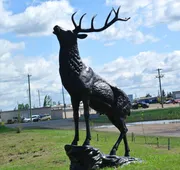 Vegreville Garden Inn hotel detail image 4