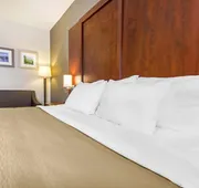 Comfort Inn & Suites hotel detail image 7