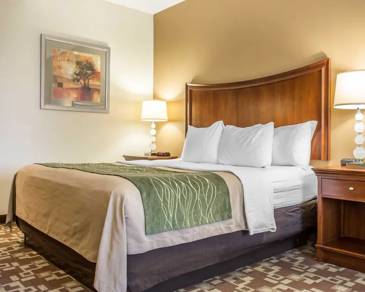 Comfort Inn & Suites Orangeburg hotel detail image 6