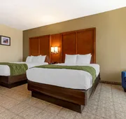 Comfort Inn & Suites Orangeburg hotel detail image 7