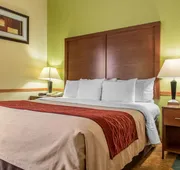 Quality Inn Jacksonville near I-72 hotel detail image 5
