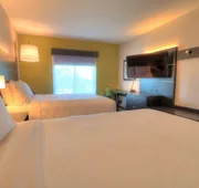 Holiday Inn Express Hotel & Suites Mobile/Saraland by IHG hotel detail image 7