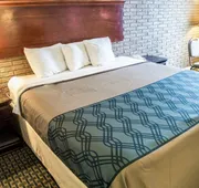 Rodeway Inn & Suites Wilmington North hotel detail image 7