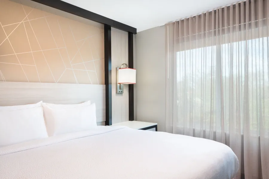 Springhill Suites by Marriott Conyers hotel detail image 6