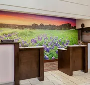 La Quinta Inn & Suites by Wyndham Kerrville hotel detail image 7