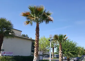 Town House Motel hotel thumbnail 6