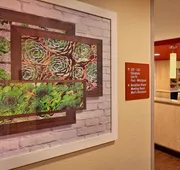 TownePlace Suites by Marriott Albany Downtown/Medical Center hotel detail image 3