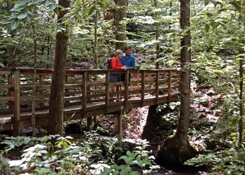 Brasstown Valley Resort & Spa hotel thumbnail 4