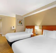 Best Western Plus Kingsland hotel detail image 7