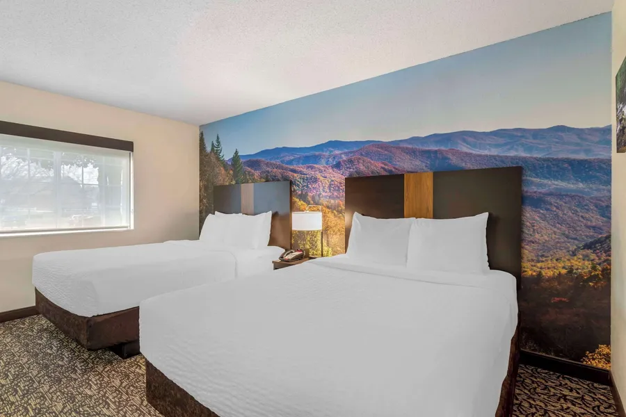 LeConte Hotel & Convention Center, an Ascend Collection Hotel hotel detail image 6