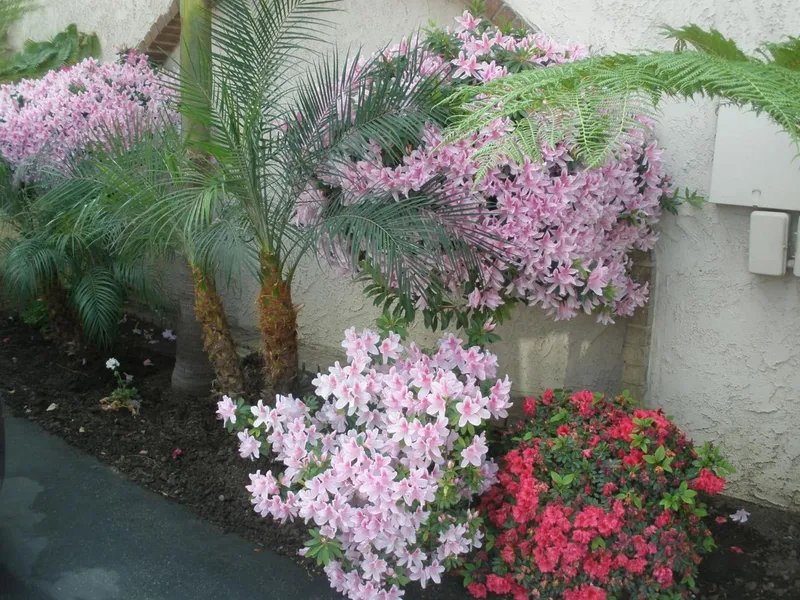 Garden Inn & Suites hotel detail image 6