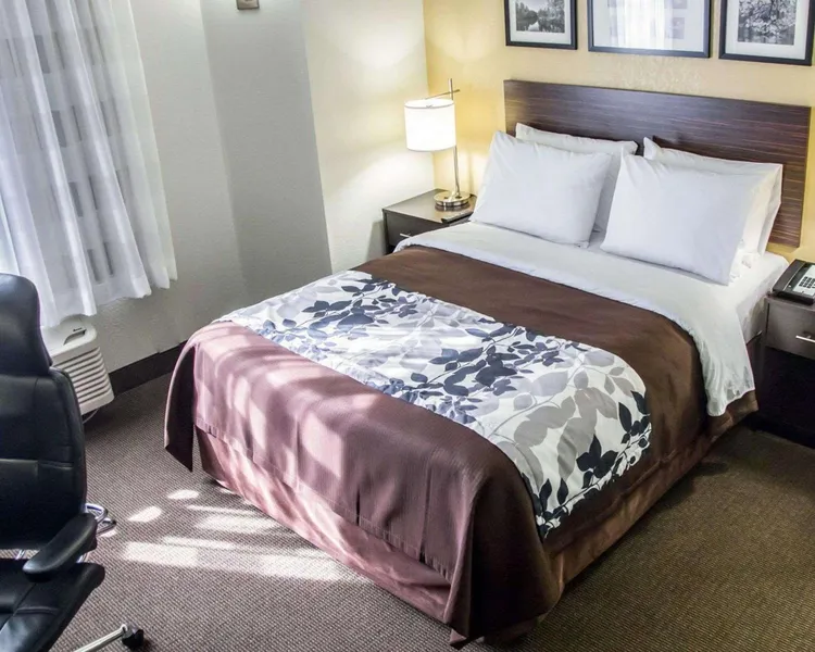 Sleep Inn Tinley Park I-80 near Amphitheatre-Convention Center hotel detail image 2