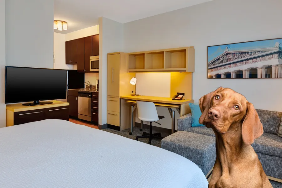 TownePlace Suites by Marriott Nashville Airport hotel detail image 6