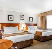 The Inn at 1252 hotel detail image 5