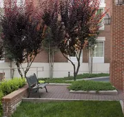 Courtyard by Marriott Charlottesville University Medical Ctr hotel detail image 3