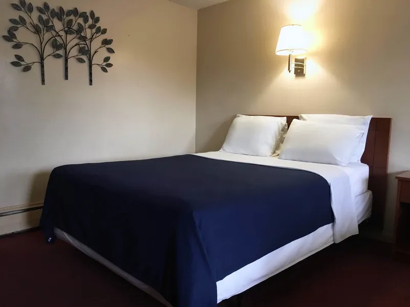 Swiss Cottage Inn hotel detail image 6