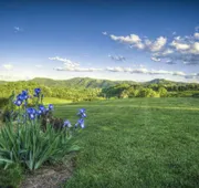 Blue Mountain Mist Country Inn & Spa hotel detail image 4