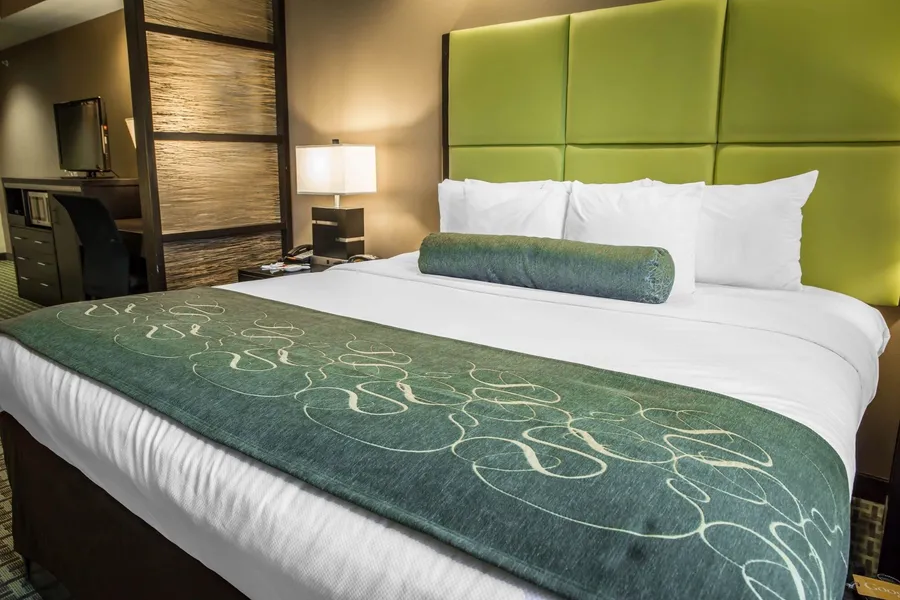 Comfort Suites New Bern near Cherry Point hotel detail image 6
